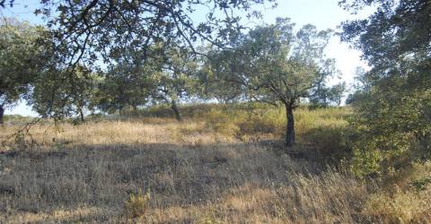 Terreno Rústico  Venda em Odeleite,Castro Marim