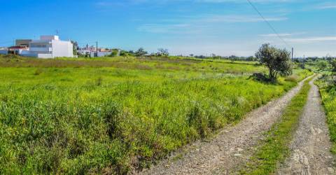 Terreno para Construção no Azinhal