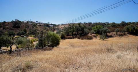 Terreno Rústico  Venda em Alcoutim e Pereiro,Alcoutim