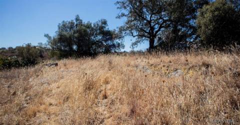 Terreno Rústico  Venda em Alcoutim e Pereiro,Alcoutim