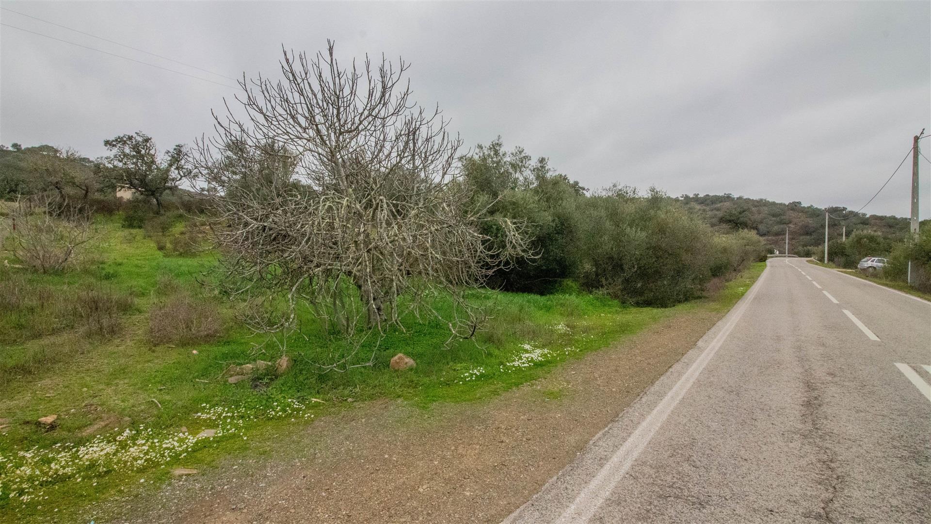 Terreno Rústico  Venda em Odeleite,Castro Marim