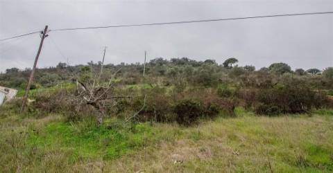Terreno Rústico  Venda em Alcoutim e Pereiro,Alcoutim