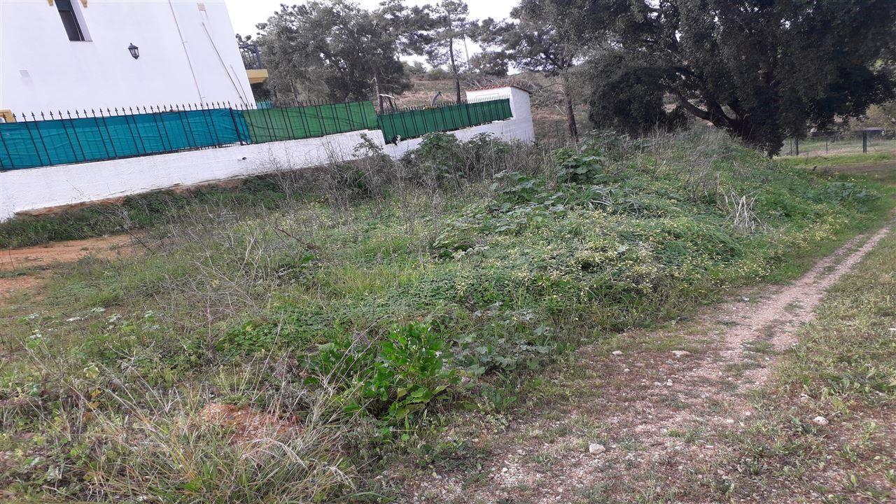 Terreno Rústico  Venda em Castro Marim,Castro Marim