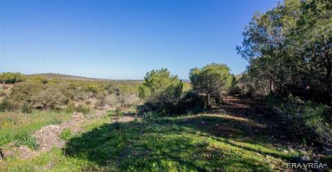 Terreno Rústico  Venda em Alcoutim e Pereiro,Alcoutim