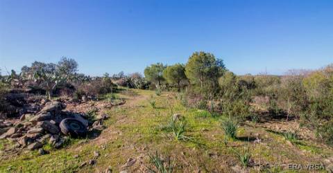 Terreno Rústico  Venda em Alcoutim e Pereiro,Alcoutim
