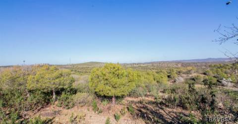 Terreno Rústico  Venda em Alcoutim e Pereiro,Alcoutim