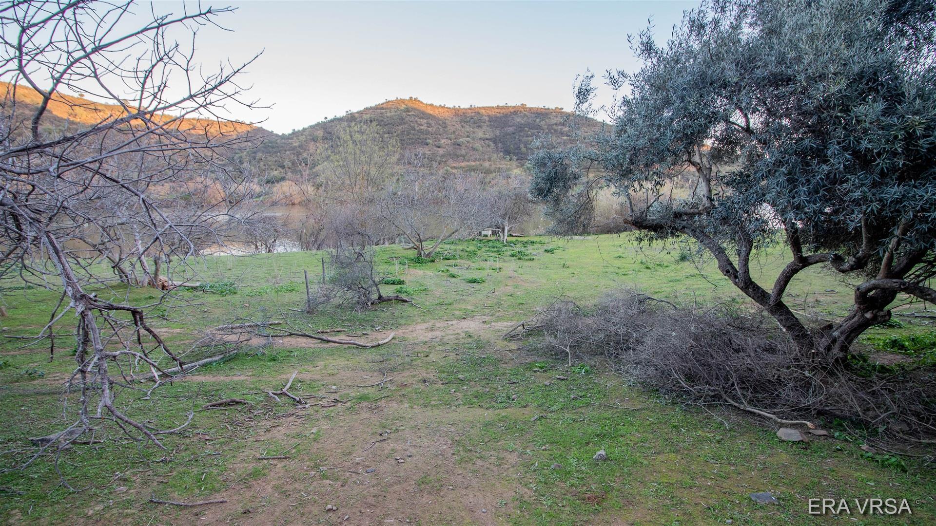 Terreno Rústico  Venda em Alcoutim e Pereiro,Alcoutim