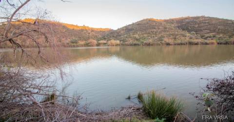 Terreno Rústico  Venda em Alcoutim e Pereiro,Alcoutim
