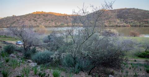 Terreno Rústico  Venda em Alcoutim e Pereiro,Alcoutim