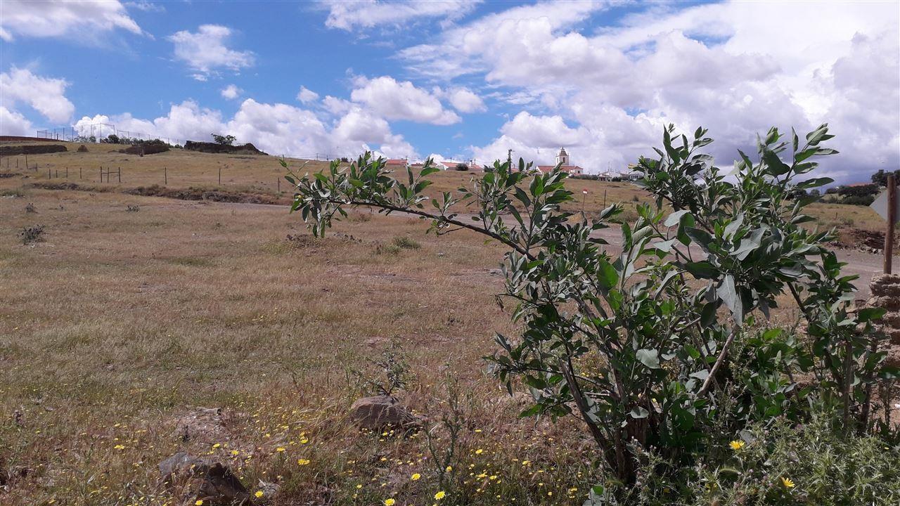 Terreno Urbano  Venda em Santana de Cambas,Mértola