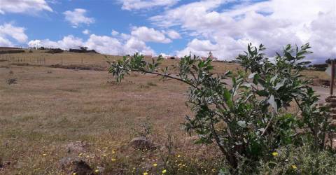Terreno Urbano  Venda em Santana de Cambas,Mértola