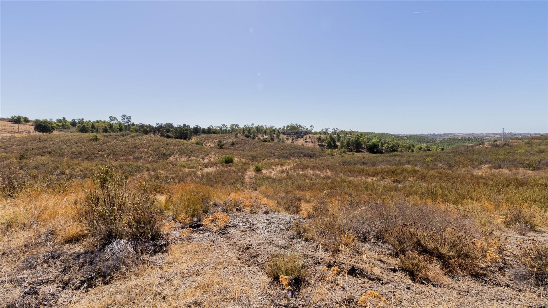 Terreno Para Construção  Venda em Odeleite,Castro Marim