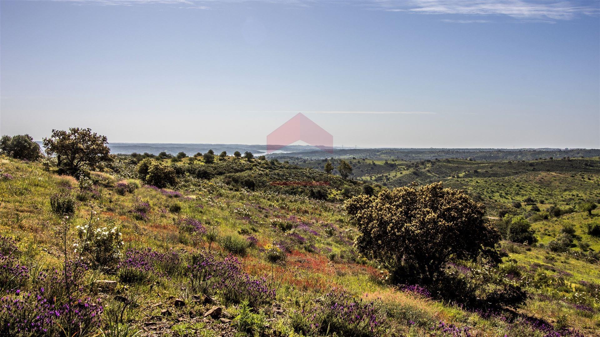 Terreno  Venda em Odeleite,Castro Marim