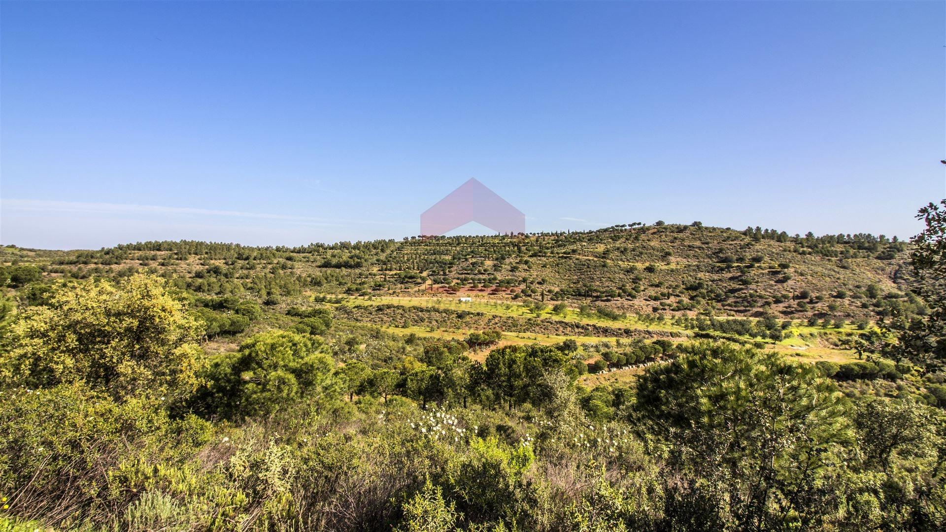 Terreno  Venda em Odeleite,Castro Marim