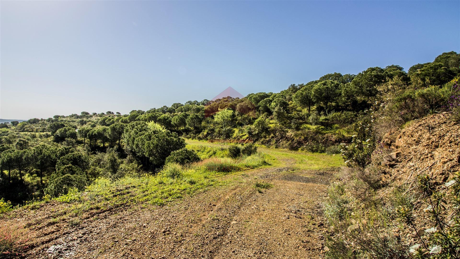 Terreno  Venda em Odeleite,Castro Marim