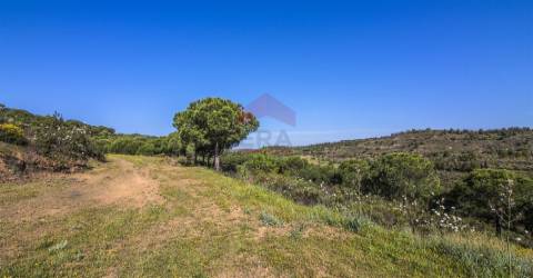 Terreno  Venda em Odeleite,Castro Marim