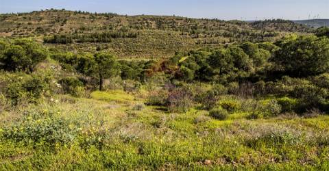 Terreno  Venda em Odeleite,Castro Marim