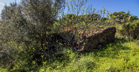 Terreno  Venda em Odeleite,Castro Marim