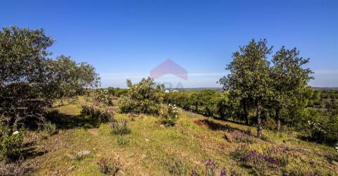 Terreno  Venda em Odeleite,Castro Marim