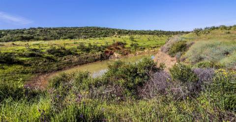 Terreno  Venda em Odeleite,Castro Marim