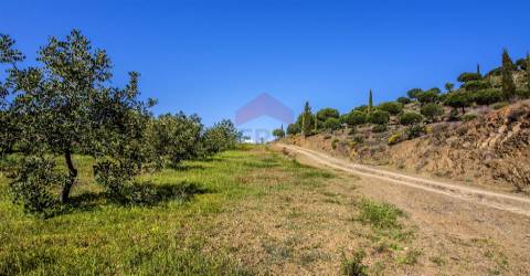 Terreno  Venda em Odeleite,Castro Marim