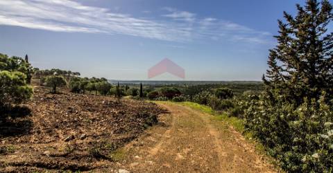 Terreno  Venda em Odeleite,Castro Marim
