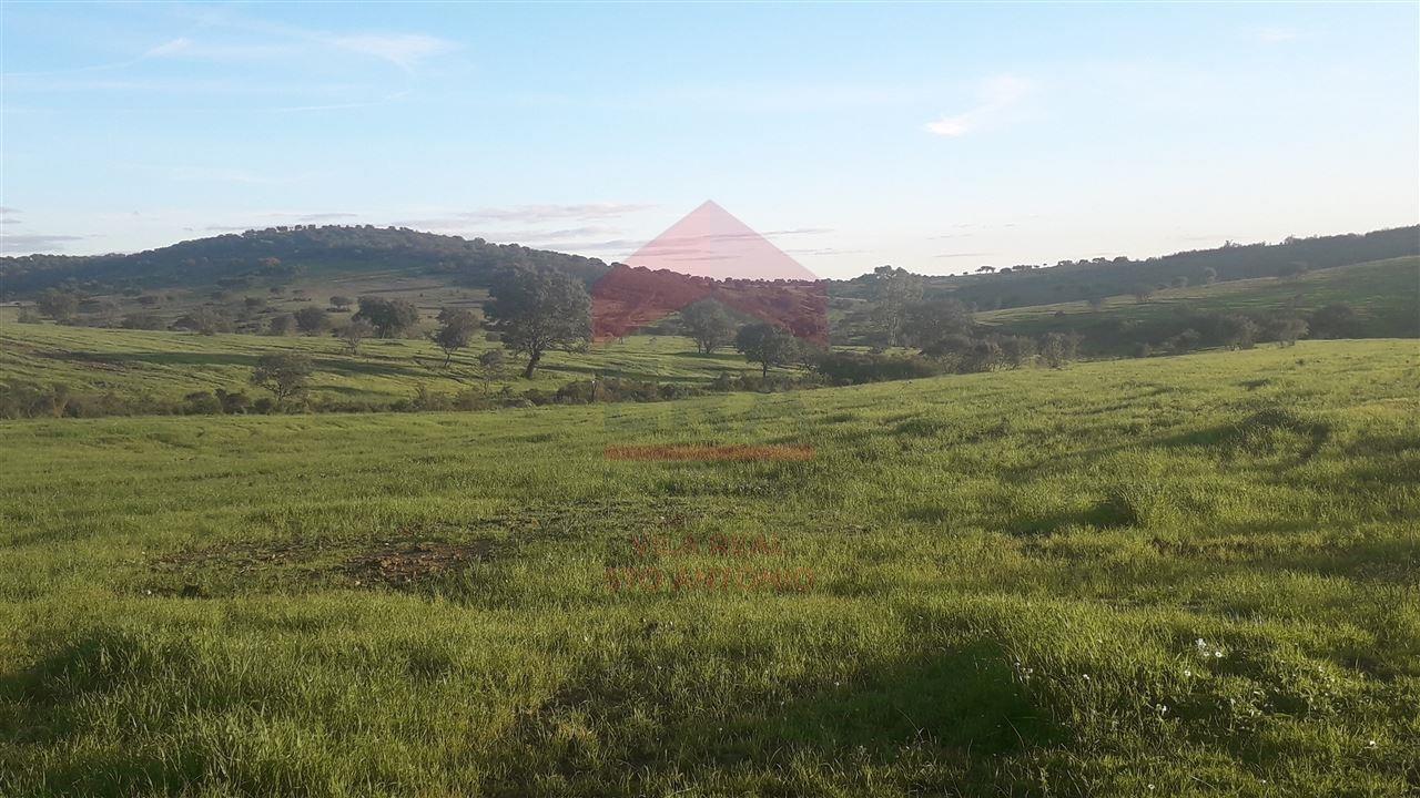 Herdade  Venda em Mértola,Mértola