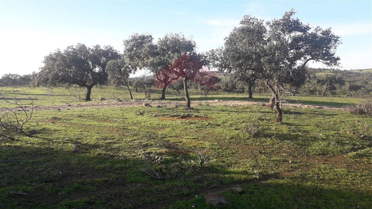 Herdade  Venda em Mértola,Mértola