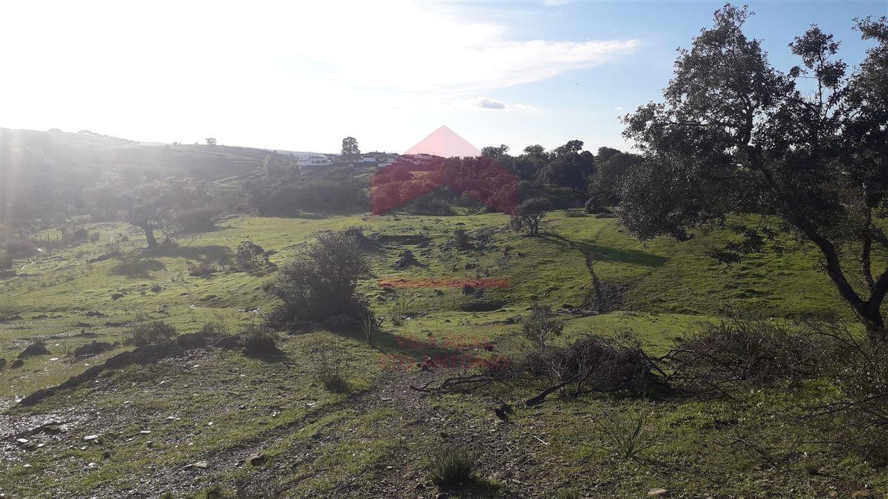 Herdade  Venda em Mértola,Mértola