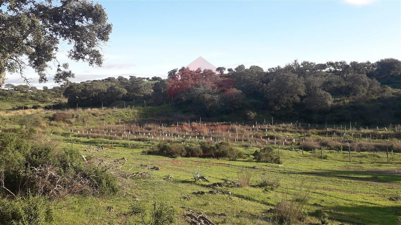 Herdade  Venda em Mértola,Mértola