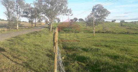 Herdade  Venda em Mértola,Mértola