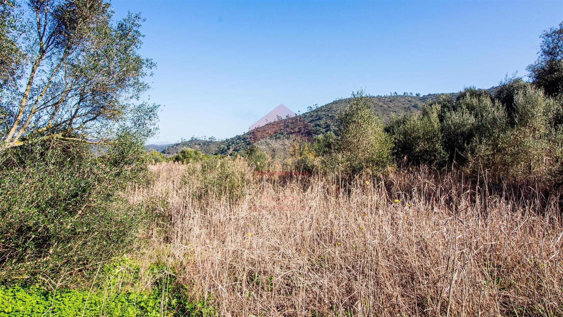 Terreno Rústico  Venda em Alcoutim e Pereiro,Alcoutim