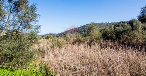 Terreno Rústico  Venda em Alcoutim e Pereiro,Alcoutim