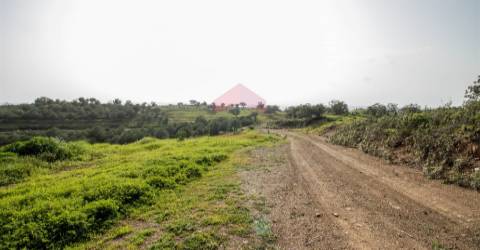 Terreno Rústico  Venda em Odeleite,Castro Marim