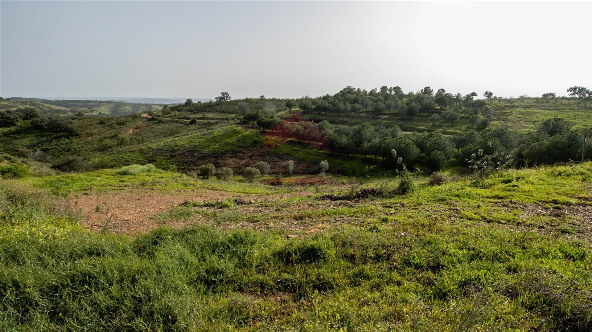 Terreno Rústico  Venda em Odeleite,Castro Marim