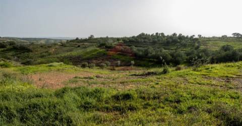 Terreno Rústico  Venda em Odeleite,Castro Marim