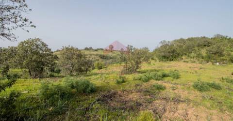 Terreno Rústico  Venda em Odeleite,Castro Marim