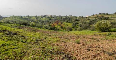 Terreno Rústico  Venda em Odeleite,Castro Marim