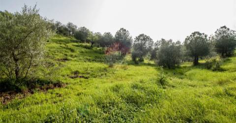 Terreno Rústico  Venda em Odeleite,Castro Marim
