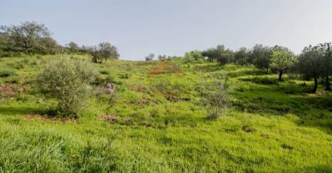 Terreno Rústico  Venda em Odeleite,Castro Marim