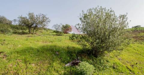 Terreno Rústico  Venda em Odeleite,Castro Marim