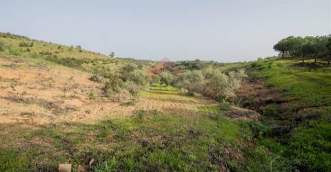 Terreno Rústico  Venda em Odeleite,Castro Marim