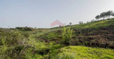 Terreno Rústico  Venda em Odeleite,Castro Marim