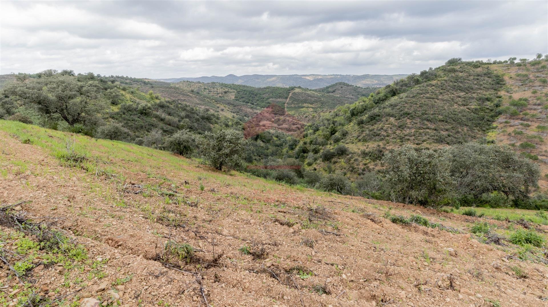 Terreno Rústico  Venda em Odeleite,Castro Marim