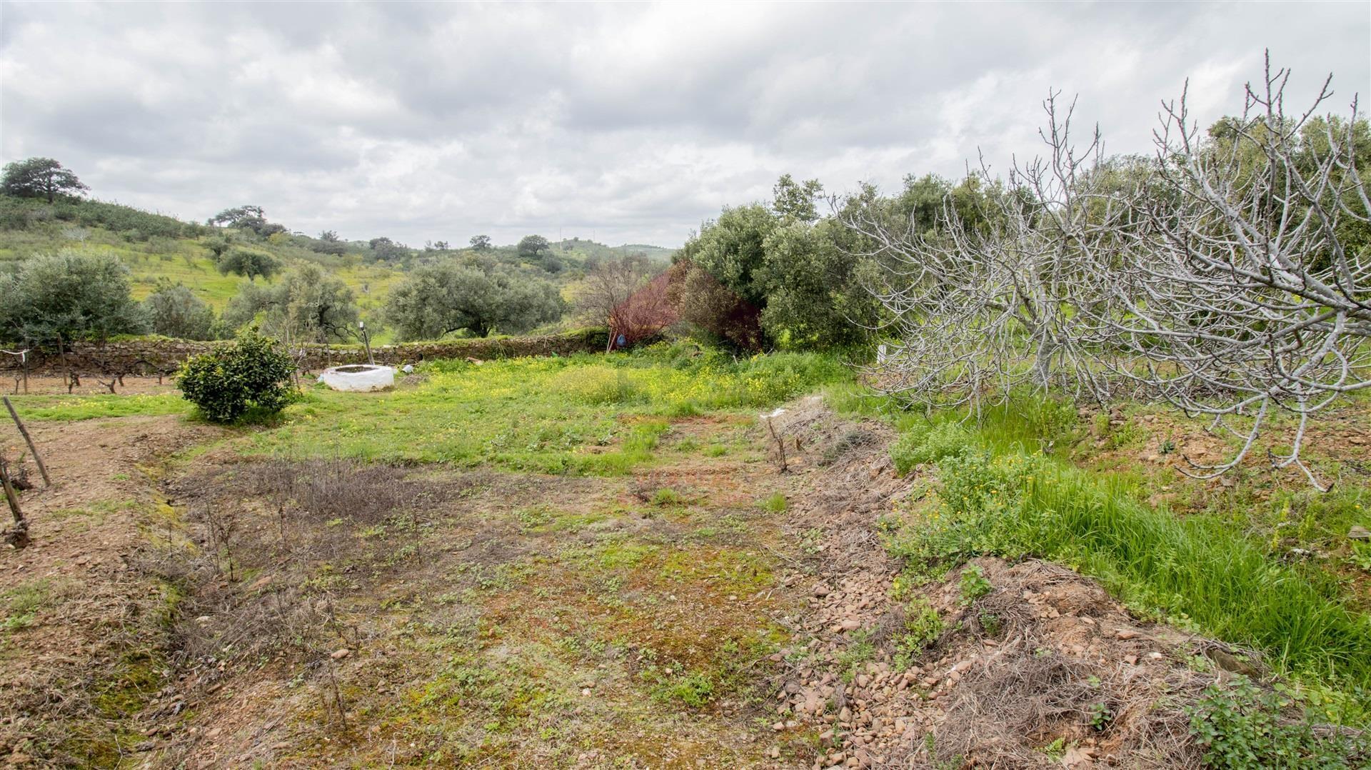 Terreno Rústico  Venda em Odeleite,Castro Marim