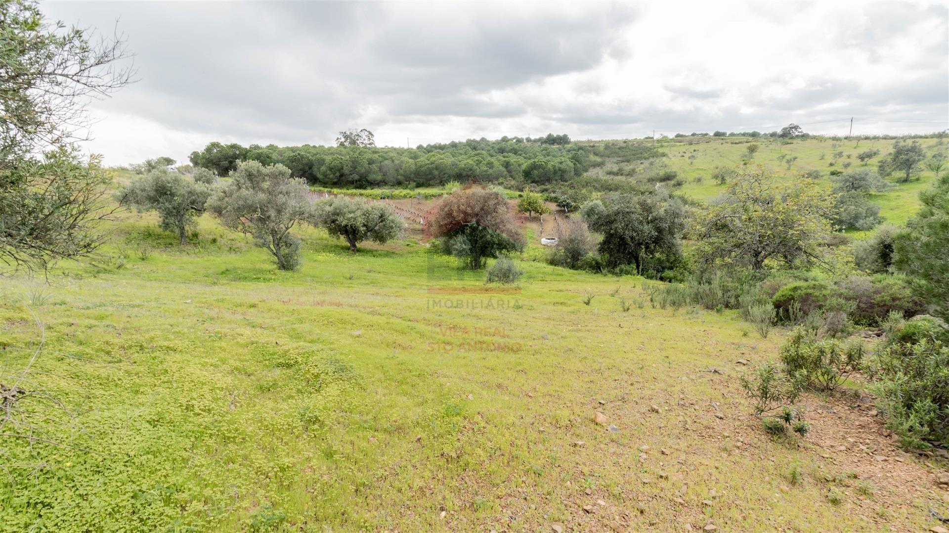 Terreno Rústico  Venda em Odeleite,Castro Marim