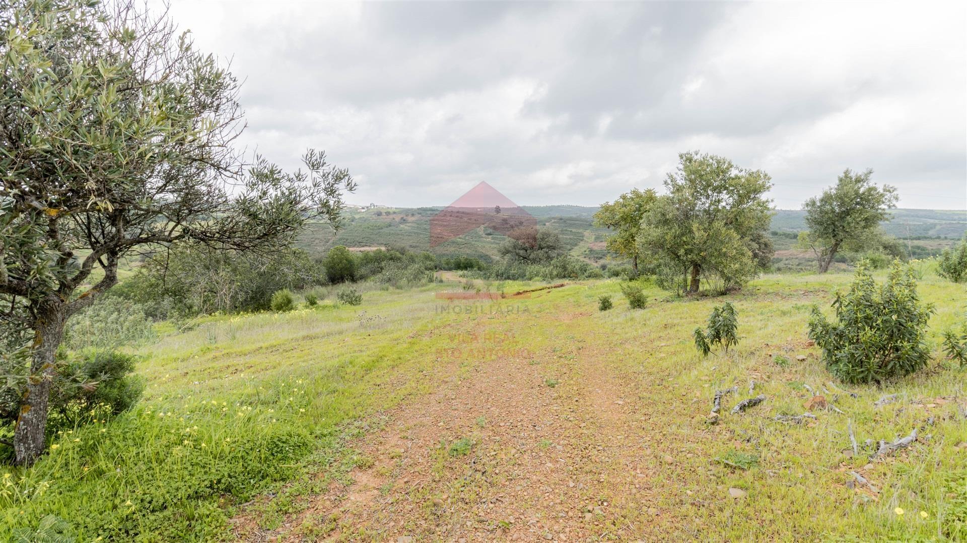 Terreno Rústico  Venda em Odeleite,Castro Marim