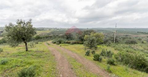 Terreno Rústico  Venda em Odeleite,Castro Marim