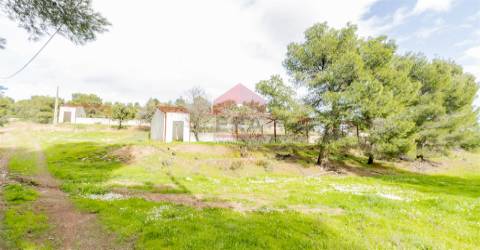 Terreno Misto  Venda em Odeleite,Castro Marim