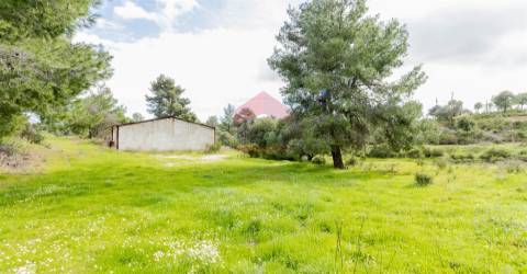 Terreno Misto  Venda em Odeleite,Castro Marim